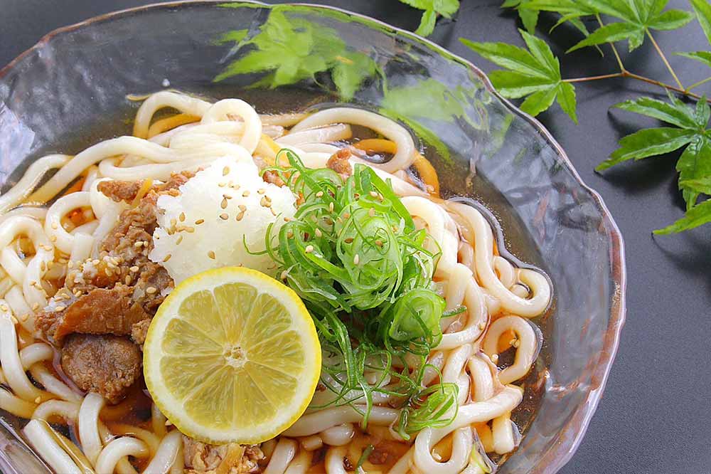 鬼おろし肉ぶっかけうどん